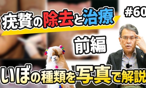 小当归的功效与作用-小当归中药用途网—知名的小当归是啥意思网站,分享小当归中药用途有哪些知识